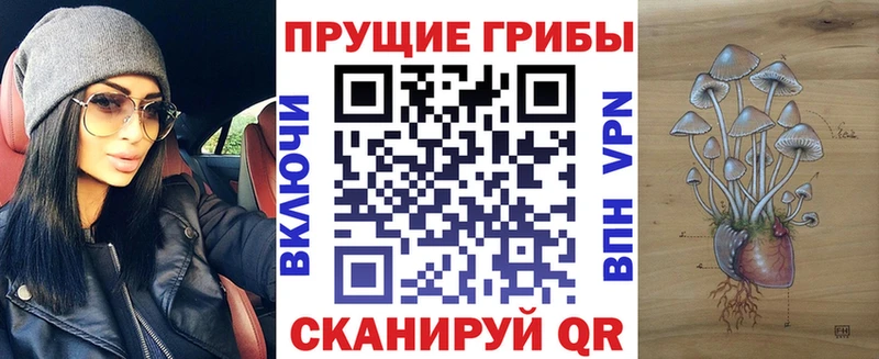 Псилоцибиновые грибы GOLDEN TEACHER  Салават 